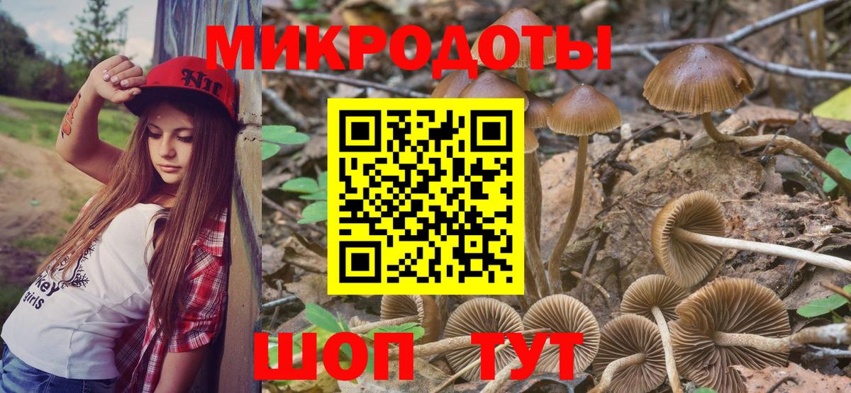 Псилоцибиновые грибы GOLDEN TEACHER  Вход с VPN  Кыштым 