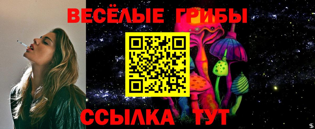 Галлюциногенные грибы Cubensis Кыштым